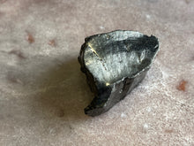 Load image into Gallery viewer, Shungite noble 1 piece