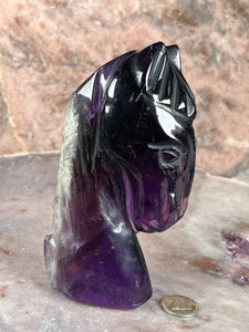 Amethyst horse