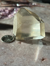 Load image into Gallery viewer, Lemurian Portal 4 L4
