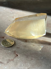Load image into Gallery viewer, Lemurian portal 14 L14
