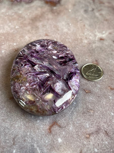 Charoite palmstone Lg2