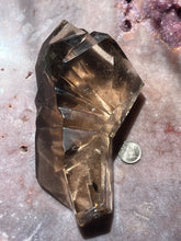 Load image into Gallery viewer, Lemurian smokey timeline portal with rutile 17 T17

