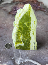 Load image into Gallery viewer, Noble Serpentine 1
