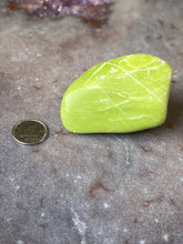 Load image into Gallery viewer, Noble Serpentine 7
