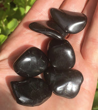 Load image into Gallery viewer, Shungite
