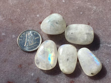 Load image into Gallery viewer, Rainbow moonstone tumbles
