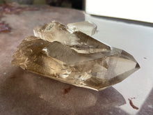 Load image into Gallery viewer, Lemurian smoky quartz 31
