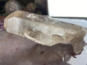 Lemurian smoky quartz 29