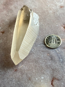 Lemurian smoky quartz 23