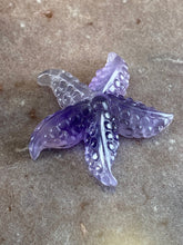 Load image into Gallery viewer, Fluorite starfish 13
