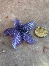 Load image into Gallery viewer, Fluorite starfish 3
