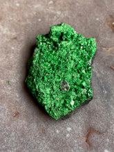 Load image into Gallery viewer, Uvarovite Garnet specimen 1
