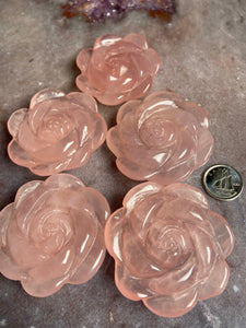 Rose Quartz rose - intuitively picked