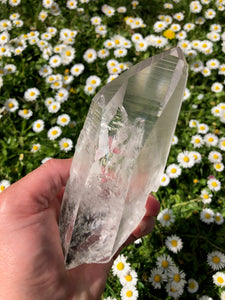 Lemurian crystal 11