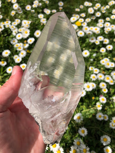 Lemurian crystal 11