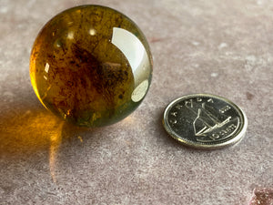 Amber sphere 6