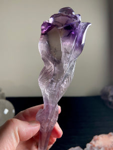 Amethyst rose 7