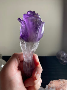 Amethyst rose 5