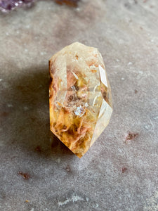 Amphibole Quartz 22