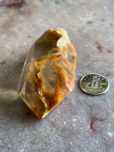 Amphibole Quartz 21